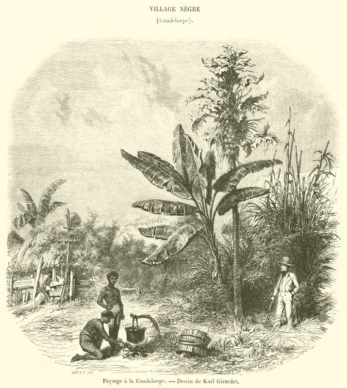瓜德罗普岛的风景（雕刻） 作者 法语学校