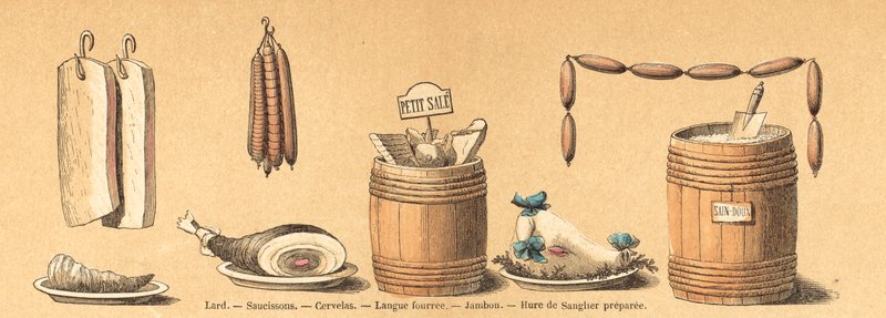 Pig (coloured engraving) 作者 法语学校