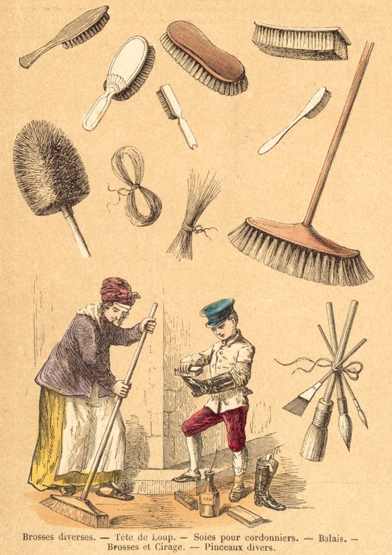 Pig (coloured engraving) 作者 法语学校