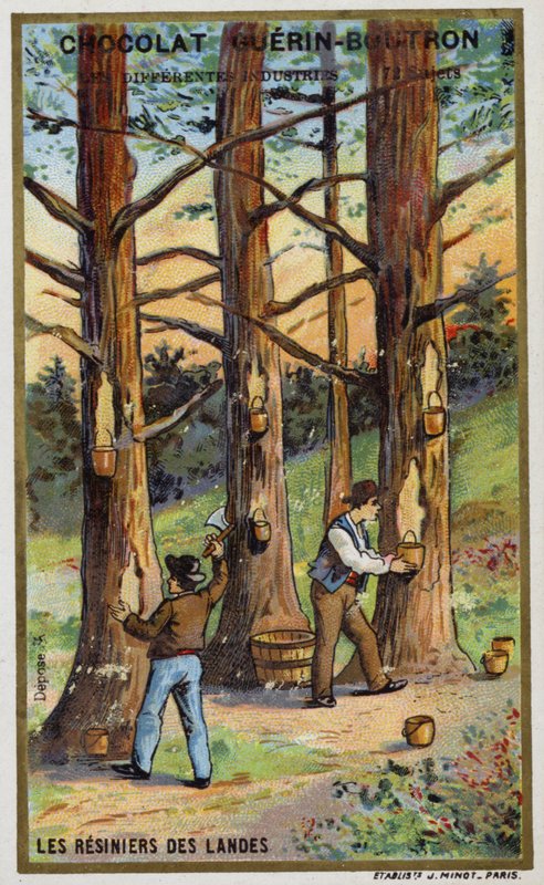 Pine resin collectors in the Landes, France (chromolitho) 作者 法语学校