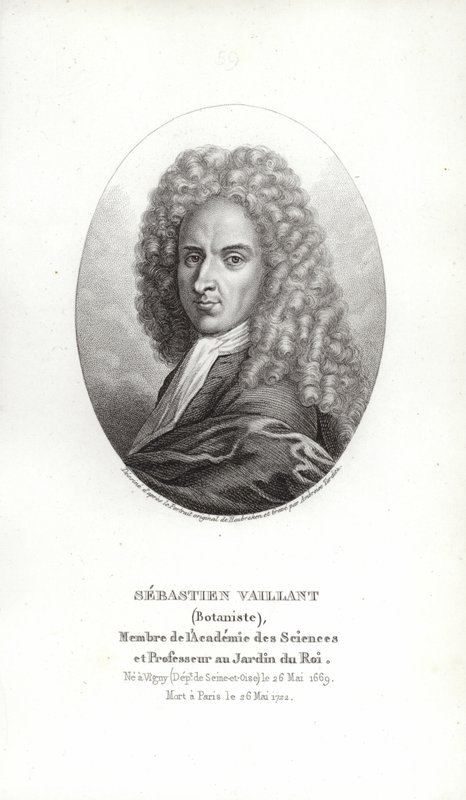 SébastienVaillant 作者 法语学校