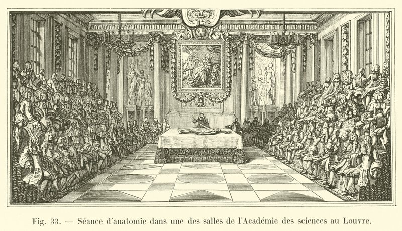 Seance danatomie在卢浮宫科学院的其中一间房间里 作者 法语学校