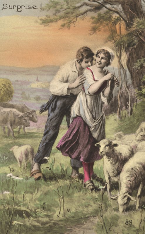 Shepherd and Shepherdess (colour litho) 作者 法语学校