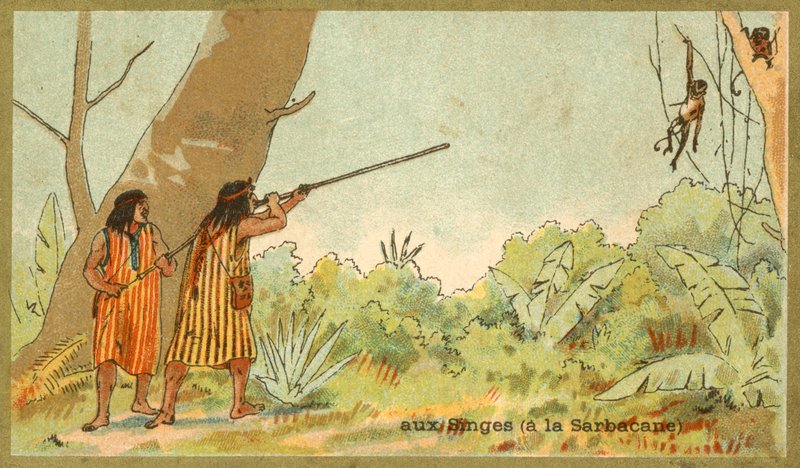South American Indians hunting monkeys with blowpipes (chromolitho) 作者 法语学校