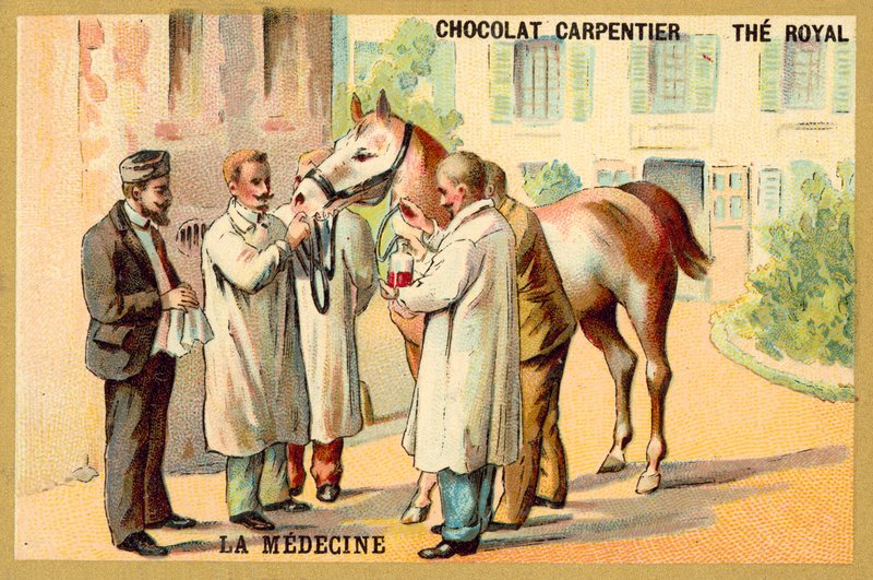 Taking blood from a horse (chromolitho) 作者 法语学校