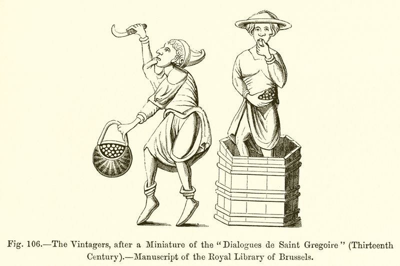 The Vintagers，继圣格雷瓜尔对话的缩影之后 作者 法语学校