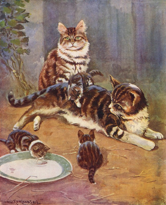 内尔是一只美丽的虎斑猫（彩色石版画） 作者 乔治·德尔维尔（继）罗兰森