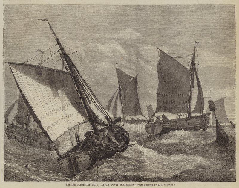 英国渔业，No 6，Leigh Boats虾 作者 乔治·亨利·安德鲁斯