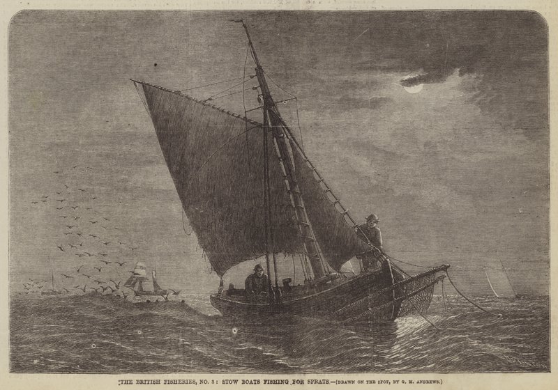 英国渔业，3号，Stow Boats为Sprats捕鱼 作者 乔治·亨利·安德鲁斯