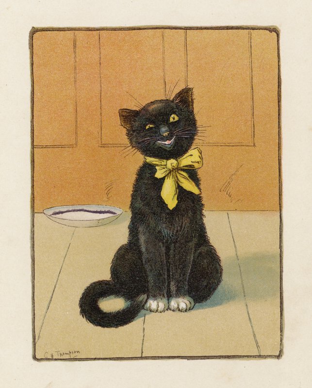 猫》（彩色印刷版） 作者 乔治·亨利·汤普森