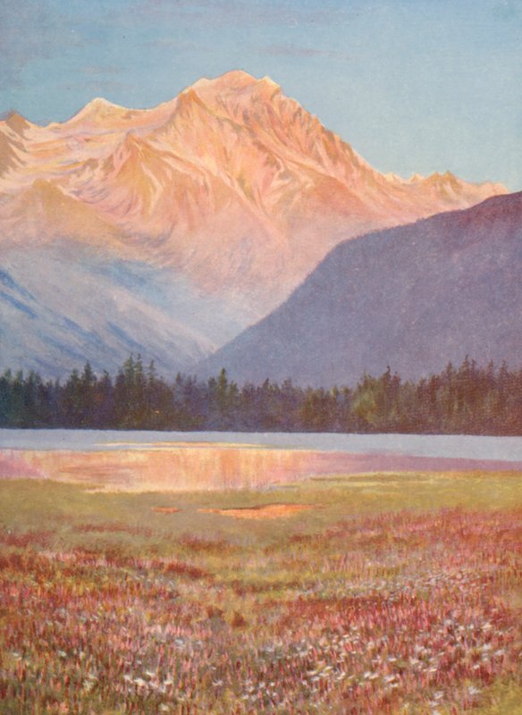 傍晚，尚佩斯湖（Lac Champex）的粉红比斯特田间；七月，大康宾河（Grand Combin）上的落日余晖（彩色石版画 作者 乔治·杰克逊·弗莱姆威尔