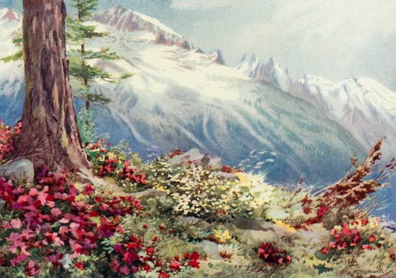 Mont Blanc 和 Aiguille Du Midi，从 Argentiere 上方看（彩色石版画） 作者 乔治·杰克逊·弗莱姆威尔