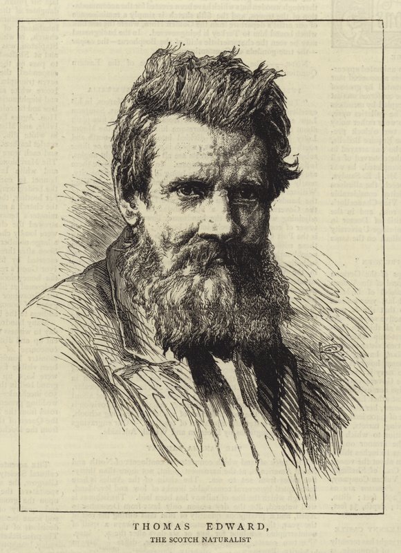 Thomas Edward 作者 乔治·里德