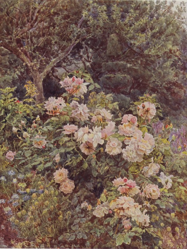 Viscountess Folkestone 作者 乔治·塞缪尔·埃尔古德