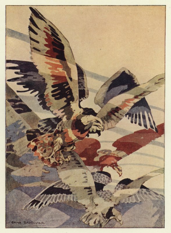 The great eagle made the winds for him (colour litho) 作者 乔治·谢林汉姆