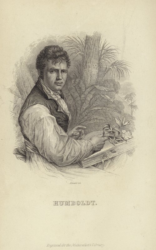 Alexander von Humboldt 作者 德国学校