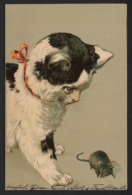 猫玩老鼠（彩色石版画） 作者 德国学校