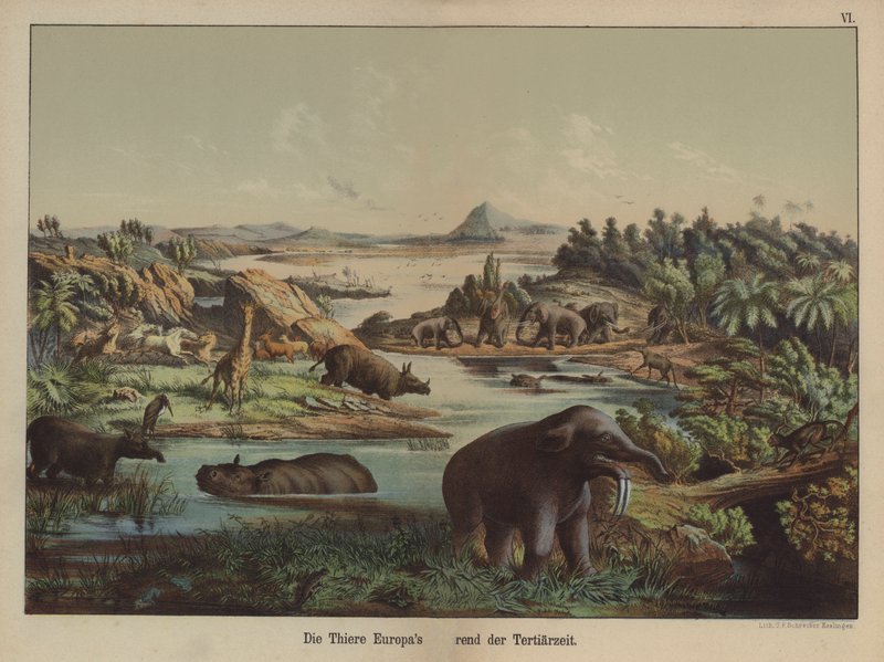 European animals of the Tertiary Period (colour litho) 作者 德国学校