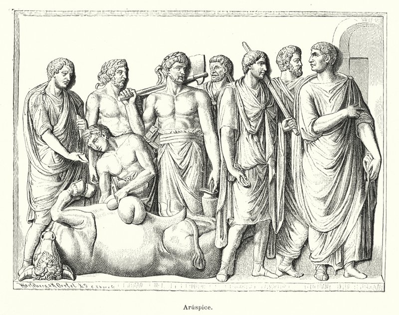 Haruspex, ancient Roman priest who examined the strails of sacrificed animals to predict the future (litho) 作者 德国学校