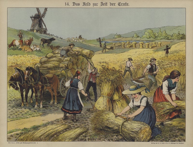 Harvest (colour litho) 作者 德国学校