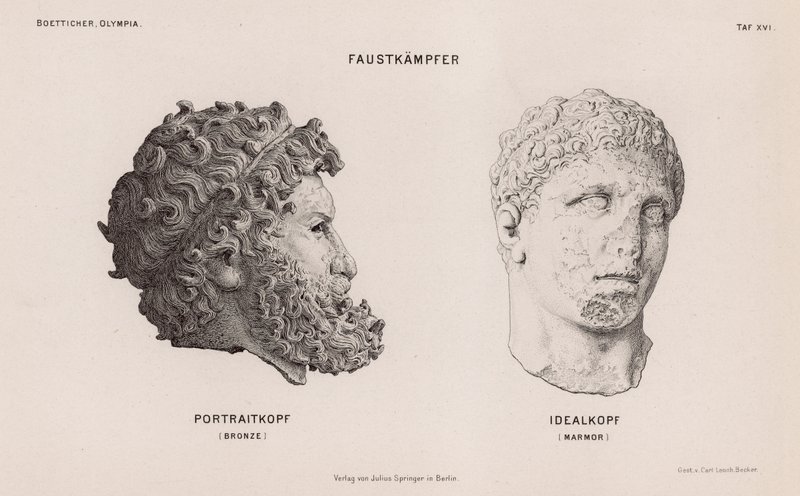Heads from statues of boxers excavated at Olympia, Greece (engraving) 作者 德国学校