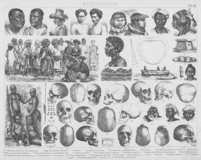 Illustration for Bilder-Atlas: Races and skulls (engraving) 作者 德国学校