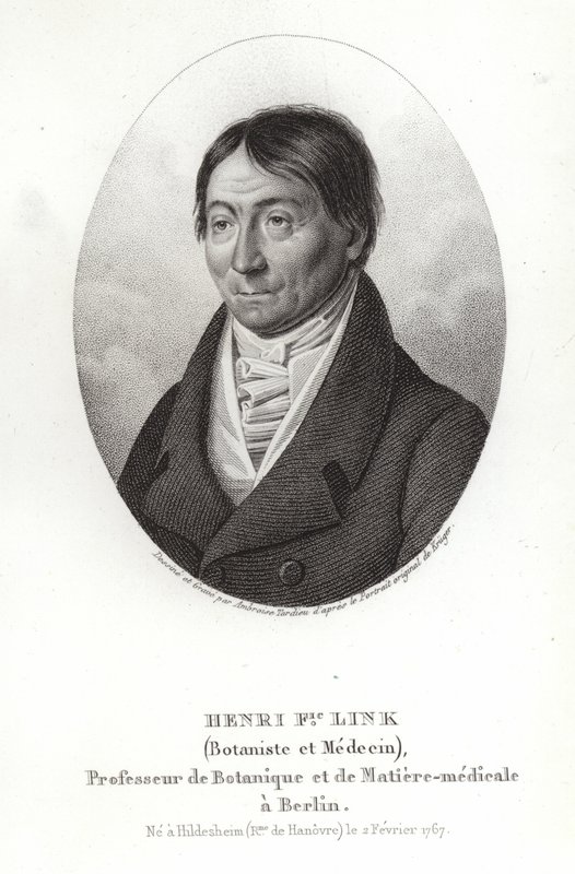 Johann Heinrich Friedrich Link 作者 德国学校