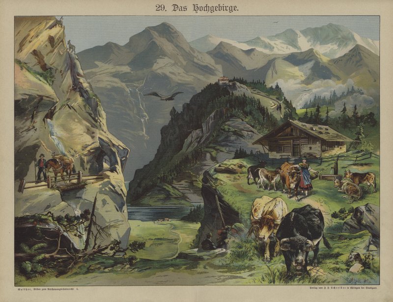 Mountain life (colour litho) 作者 德国学校