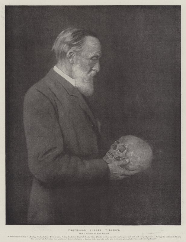 Rudolf Virchow 教授（石版画） 作者 德国学校