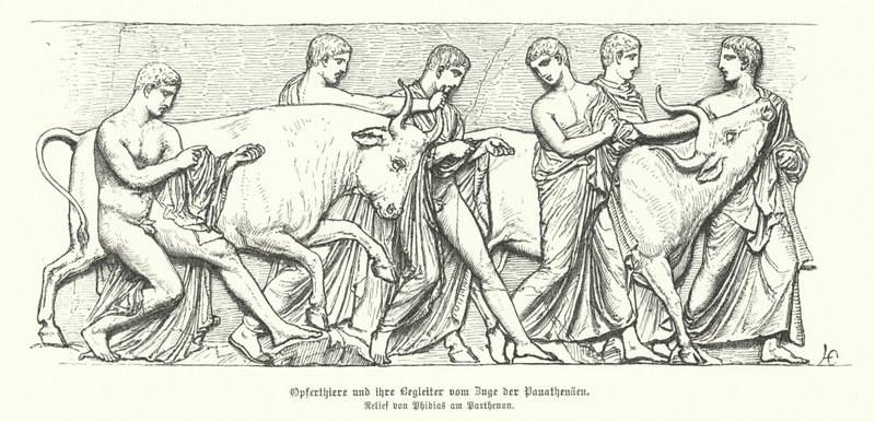 Panathenaia 古希腊游行中的祭祀动物（雕刻） 作者 德国学校