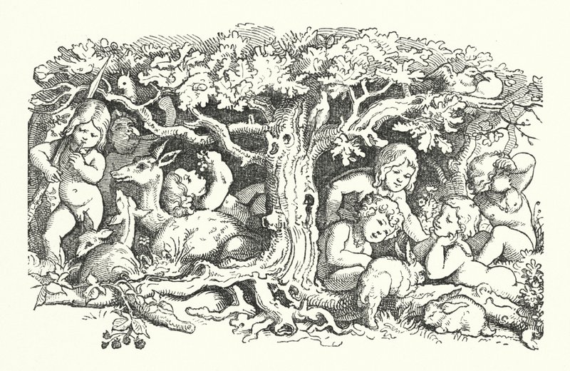 七只天鹅（版画） 作者 德国学校