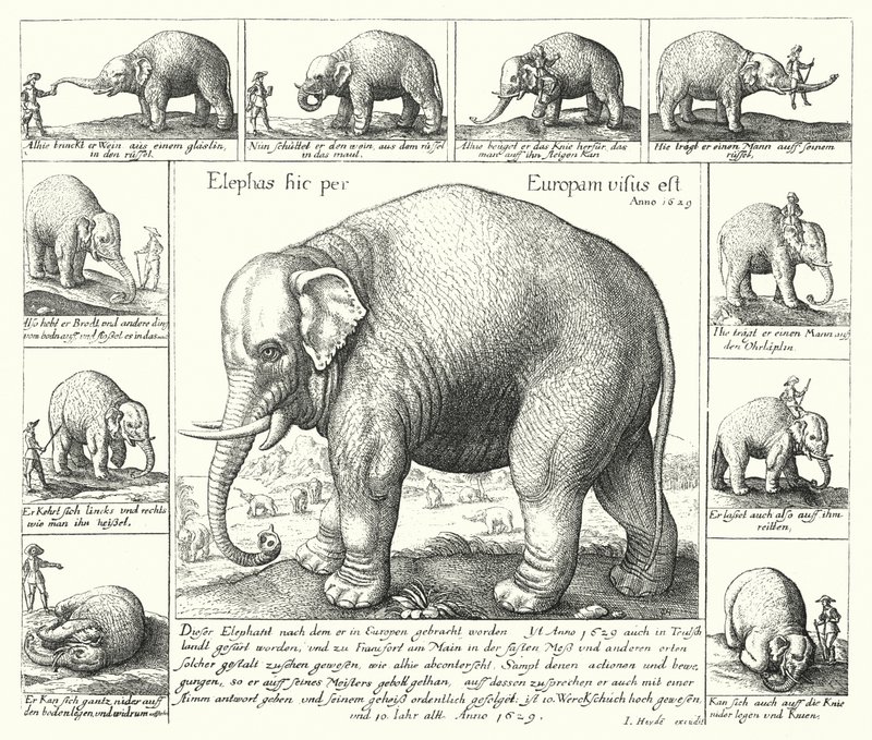 The docile elephant (engraving) 作者 德国学校