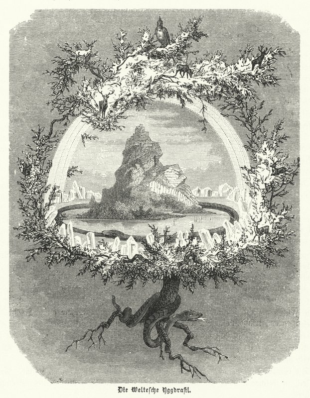 白蜡树（Yggdrasil），北欧神话中的白蜡树（雕刻）。 作者 德国学校