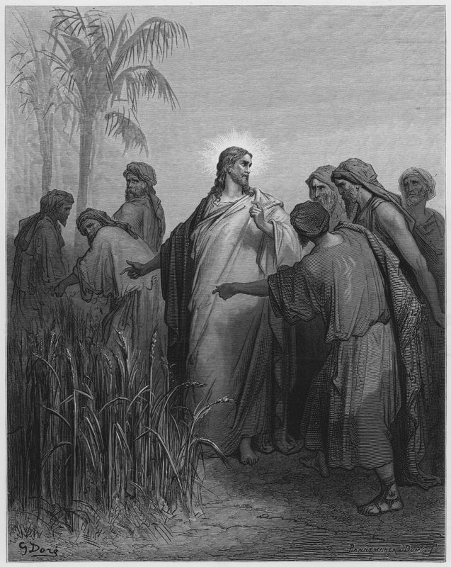 古斯塔夫多尔圣经：耶稣和他的门徒在玉米地里 作者 古斯塔夫·多尔（Gustave Dore）