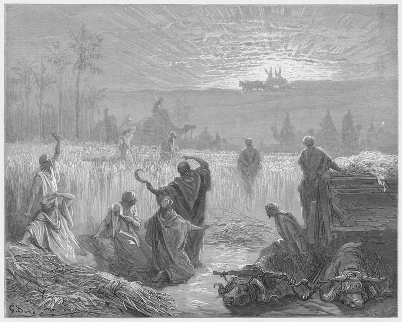古斯塔夫多尔圣经：方舟归回贝丝 - 谢梅什 作者 古斯塔夫·多尔（Gustave Dore）
