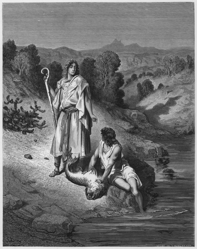 古斯塔夫多尔圣经：托比亚斯和天使 作者 古斯塔夫·多尔（Gustave Dore）