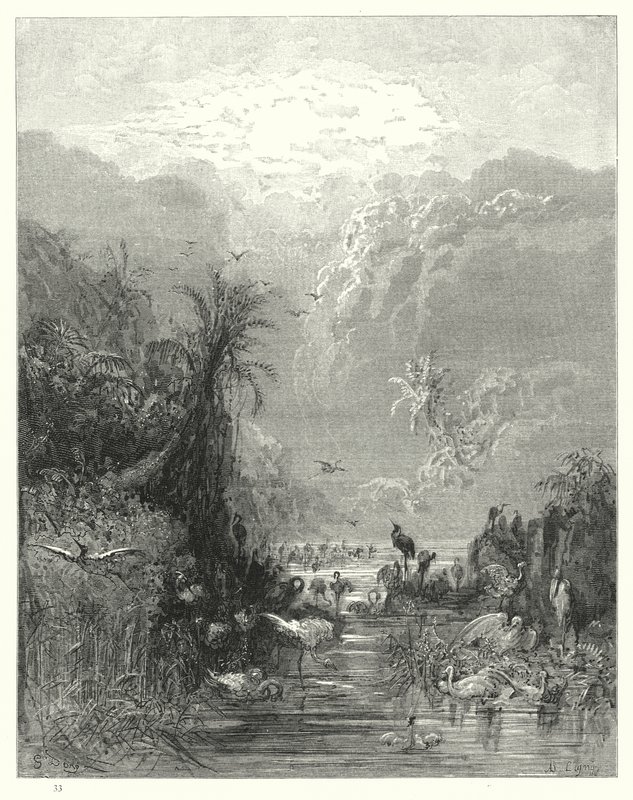 Gustave Dore为Miltons Paradise Lost插图，第七册，第417行，第418行 作者 古斯塔夫·多尔（Gustave Dore）