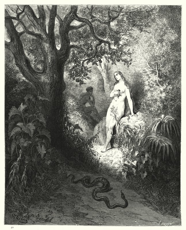 Gustave Dore为Miltons Paradise Lost，Book IX，第784行，785所作的插图 作者 古斯塔夫·多尔（Gustave Dore）
