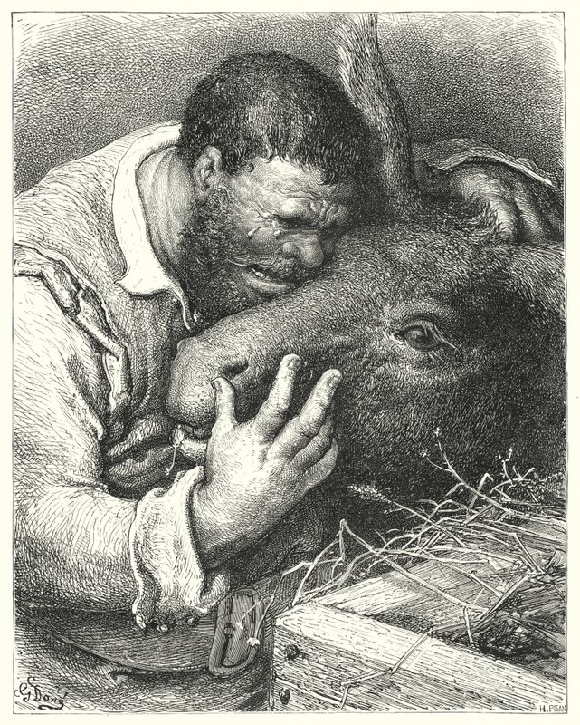 古斯塔夫·多尔 (Gustave Dore) 的《唐吉诃德》：“‘过来，’他说，‘我的朋友；你是我旅行和苦难中忠实的伙伴和伙伴’”（版画） 作者 古斯塔夫·多尔（Gustave Dore）