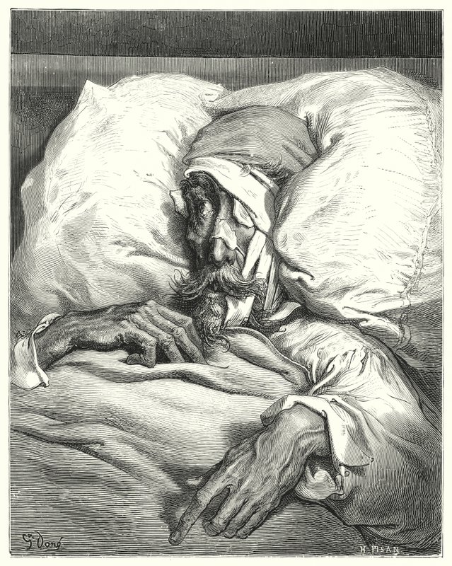 Gustave Dores Don Quixote: "Don Quixote, thus unhappily hurt, was extremely sullen and melancholy" (engraving) 作者 古斯塔夫·多尔（Gustave Dore）