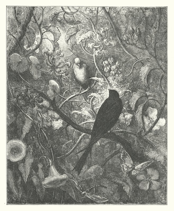 拉封丹的寓言：菲洛梅尔和普罗涅（版画） 作者 古斯塔夫·多尔（Gustave Dore）