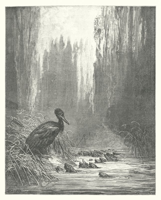 拉封丹寓言鸬鹚和鱼（版画） 作者 古斯塔夫·多尔（Gustave Dore）