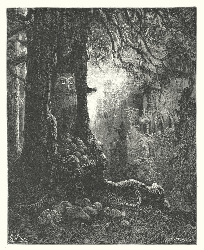 拉封丹的寓言：猫头鹰和老鼠》（雕刻） 作者 古斯塔夫·多尔（Gustave Dore）