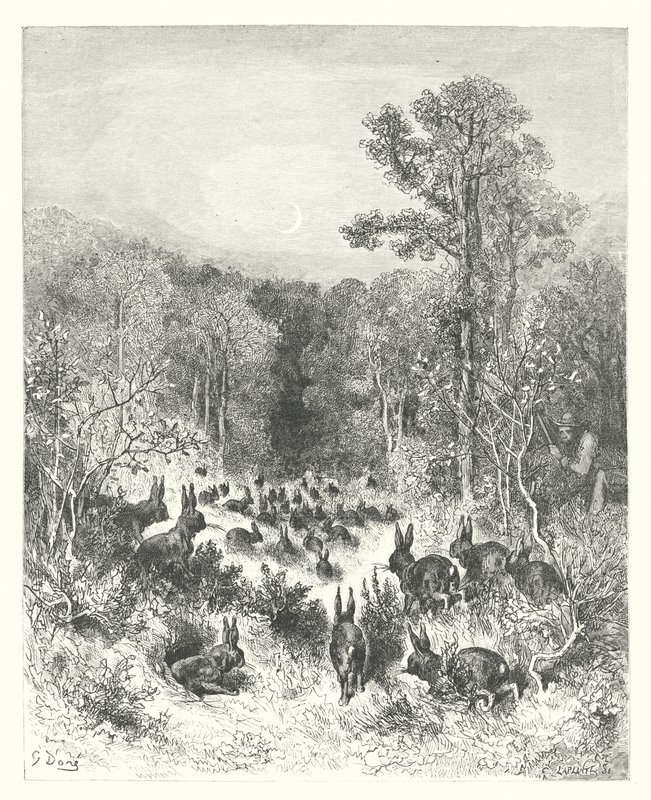 拉封丹寓言：兔子（雕刻） 作者 古斯塔夫·多尔（Gustave Dore）