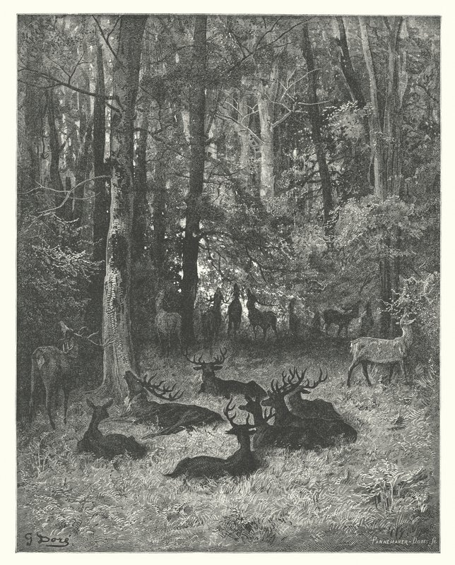 拉封丹寓言生病的雄鹿（雕刻） 作者 古斯塔夫·多尔（Gustave Dore）