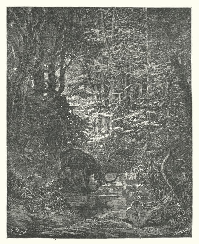 拉封丹的寓言：溪流中的雄鹿在观看自己（雕刻） 作者 古斯塔夫·多尔（Gustave Dore）