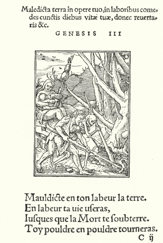 The Curse upon Earth and on Man (engraving) 作者 汉斯（后）小霍尔拜因