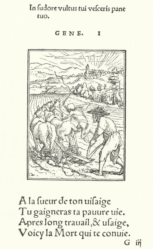 农夫，或农民（版画） 作者 汉斯（后）小霍尔拜因