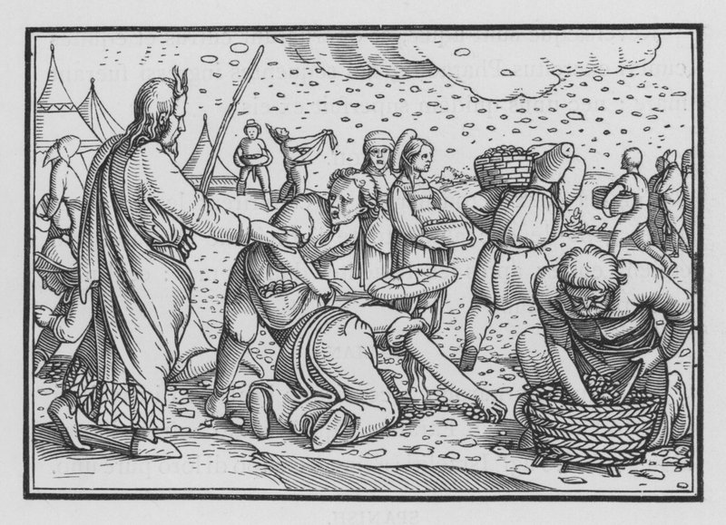 以色列人Murmur for Want of Bread，Exodus XVI，4 作者 汉斯追捕年轻的霍尔拜因