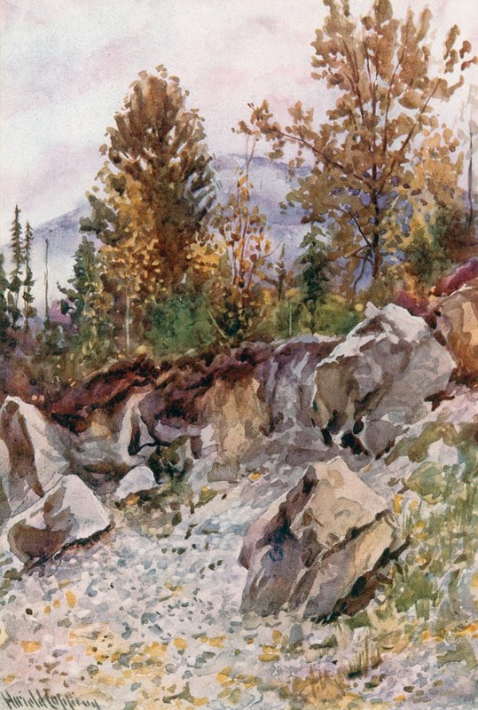 Mount Mackenzie，来自Revelstoke附近的采石场 作者 哈罗德·应付